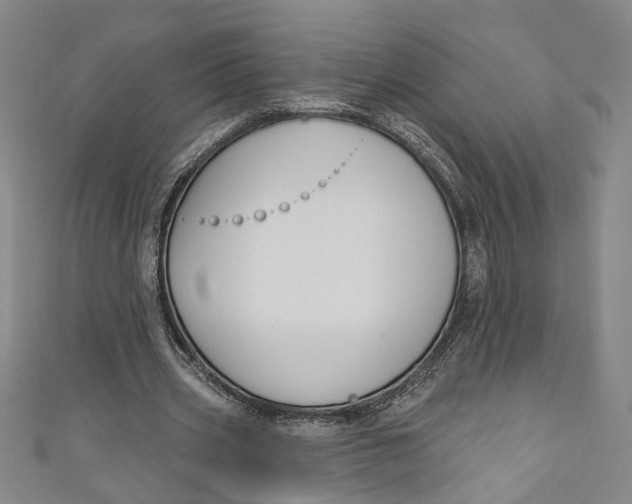 X0000111170533200907221030