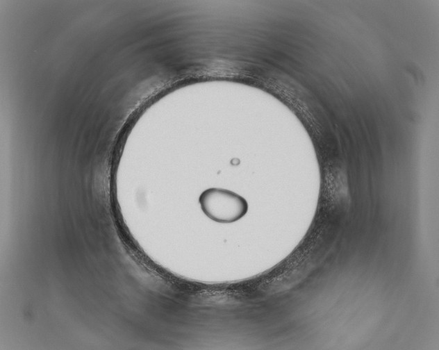 X0000111170534200907221030