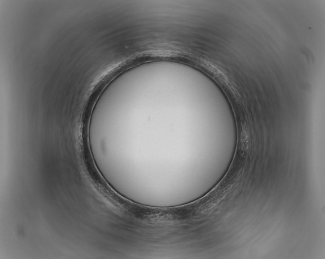 X0000111170535200907221030