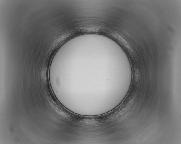 X0000111170537200907221030