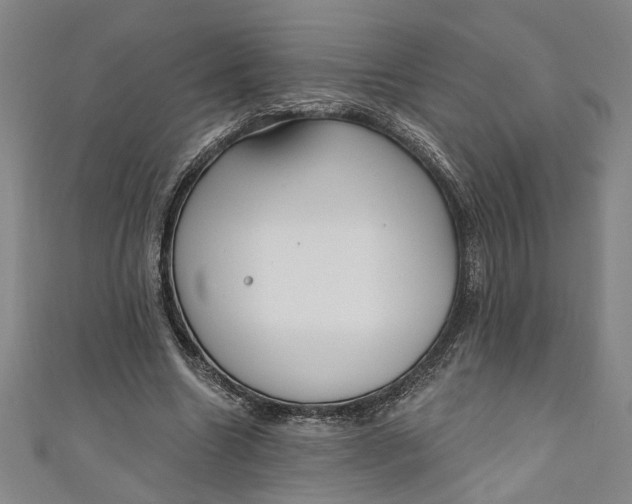 X0000111170538200907221030