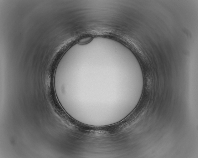 X0000111170539200907221030