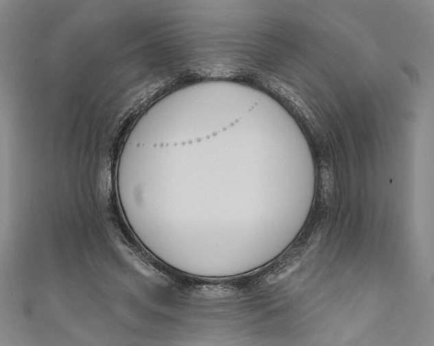 X0000111170541200907221030