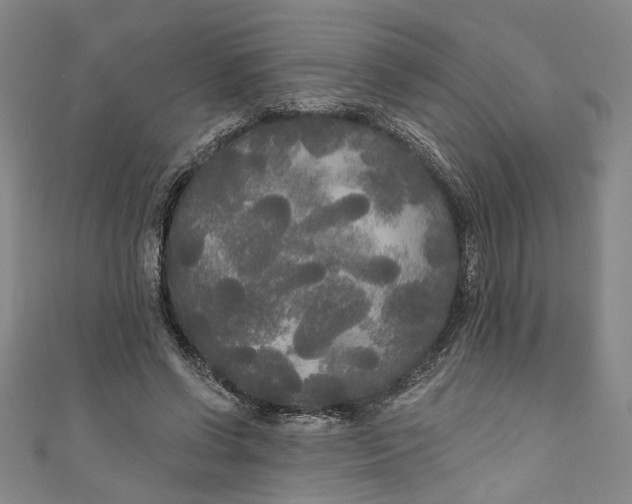 X0000111170542200907221030