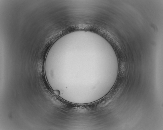 X0000111170545200907221030