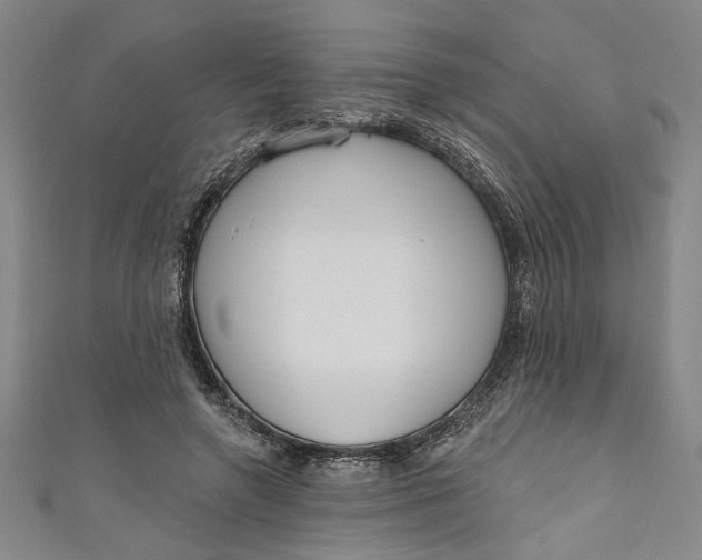 X0000111170546200907221030