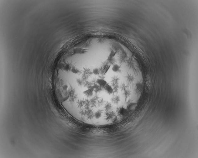 X0000111170547200907221030