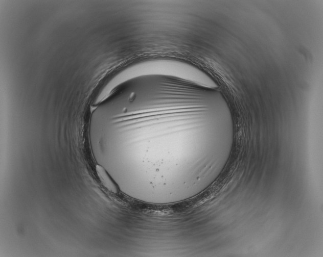 X0000111170548200907221030