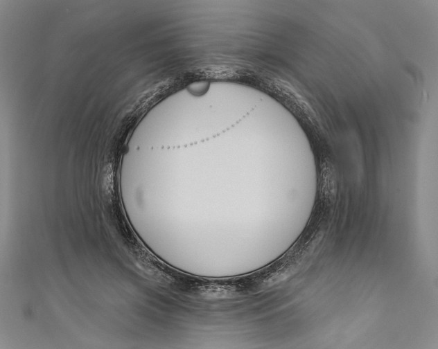 X0000111170549200907221030