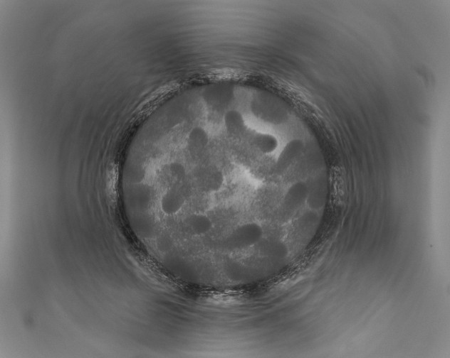 X0000111170550200907221030