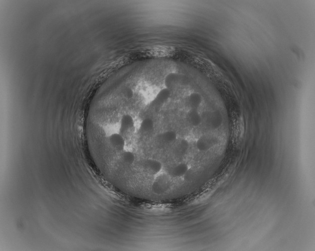 X0000111170553200907221030