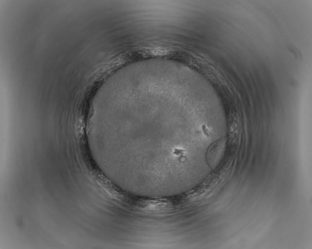 X0000111170555200907221030