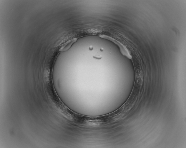 X0000111170556200907221030