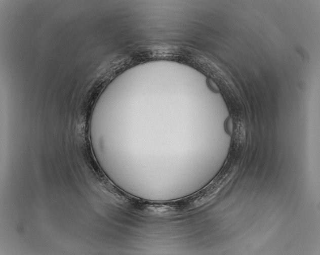 X0000111170557200907221030