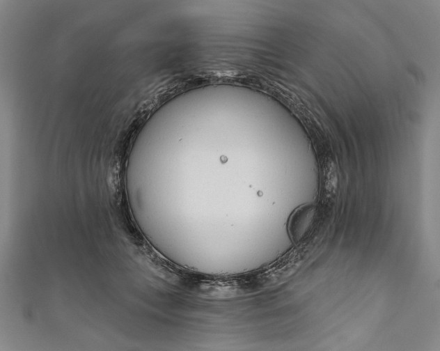 X0000111170559200907221030