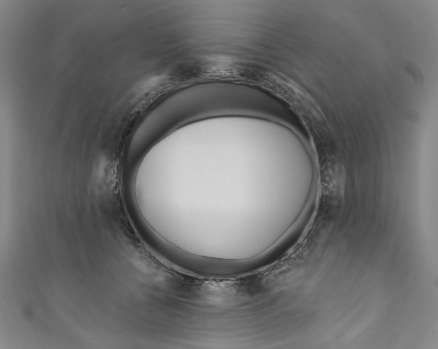 X0000111170560200907221030