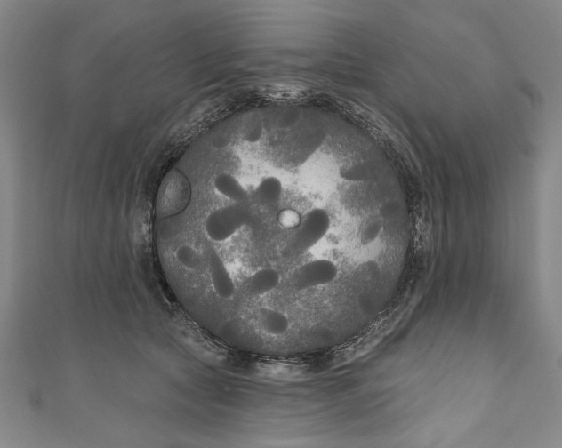 X0000111170561200907221030