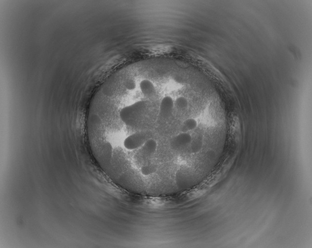 X0000111170565200907221030