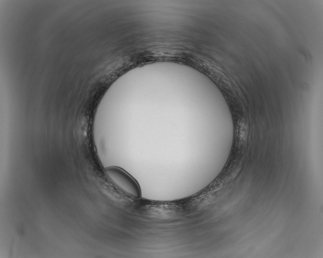 X0000111170567200907221030