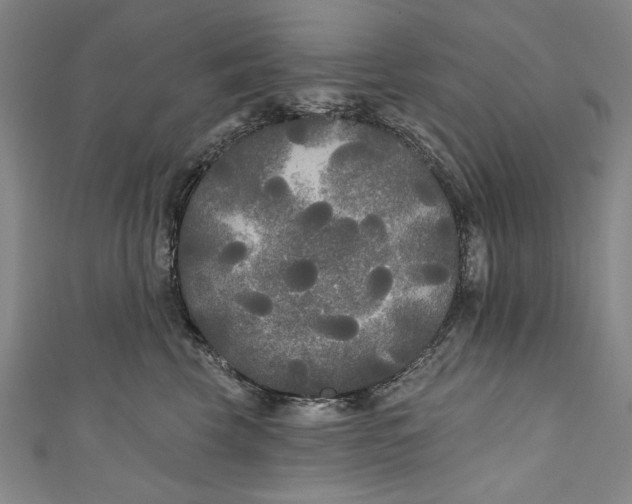 X0000111170569200907221030