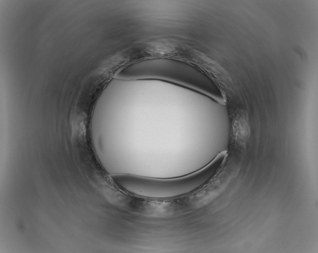 X0000111170570200907221030