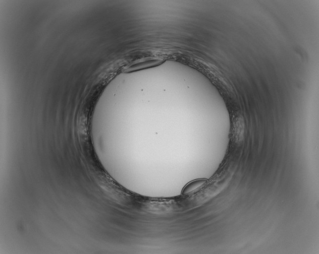 X0000111170571200907221030