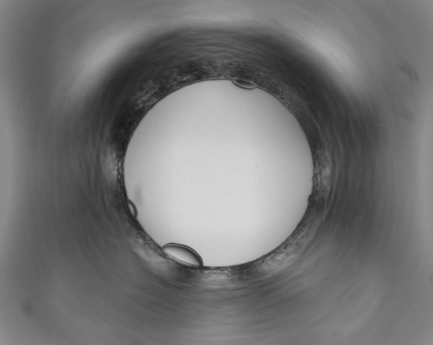 X0000111170574200907221030