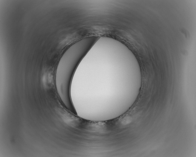 X0000111170576200907221030