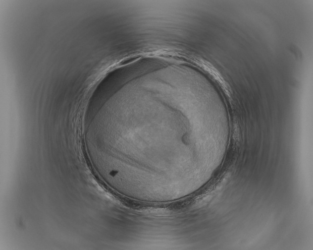 X0000111170577200907221030