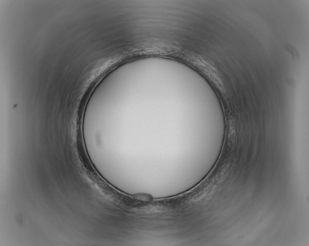 X0000111170578200907221030