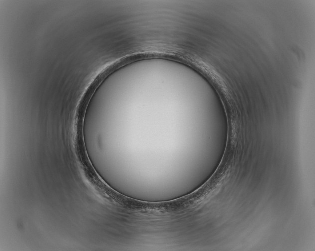 X0000111170580200907221030