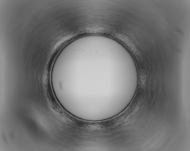 X0000111170583200907221030