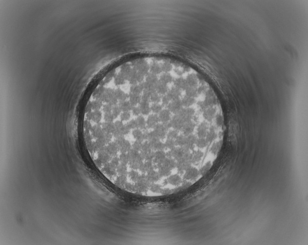 X0000111170584200907221030