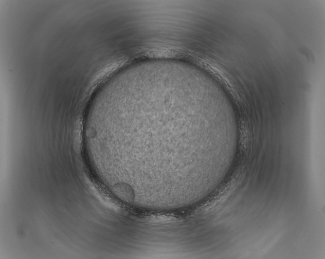 X0000111170586200907221030