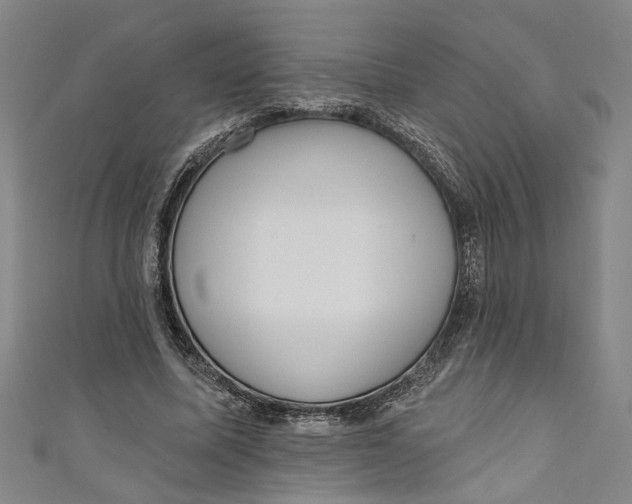 X0000111170587200907221030