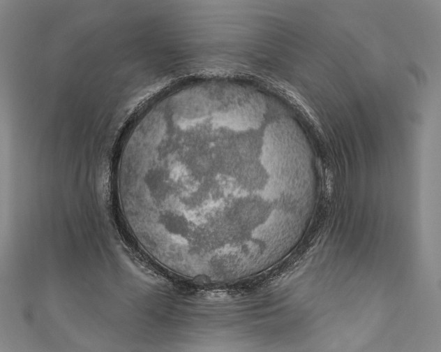 X0000111170588200907221030