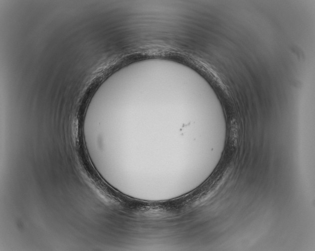 X0000111170589200907221030