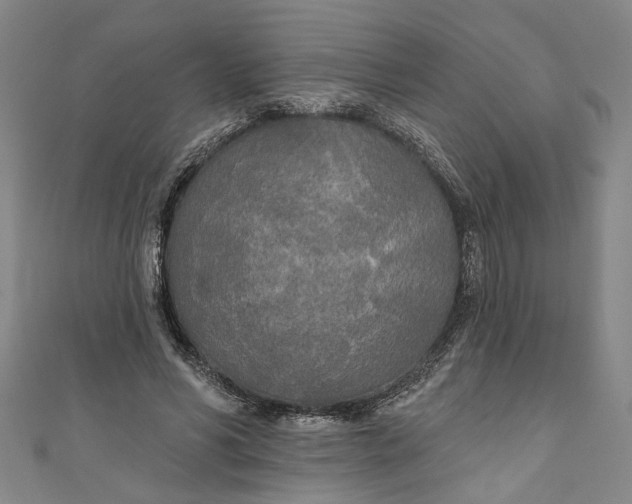 X0000111170590200907221030