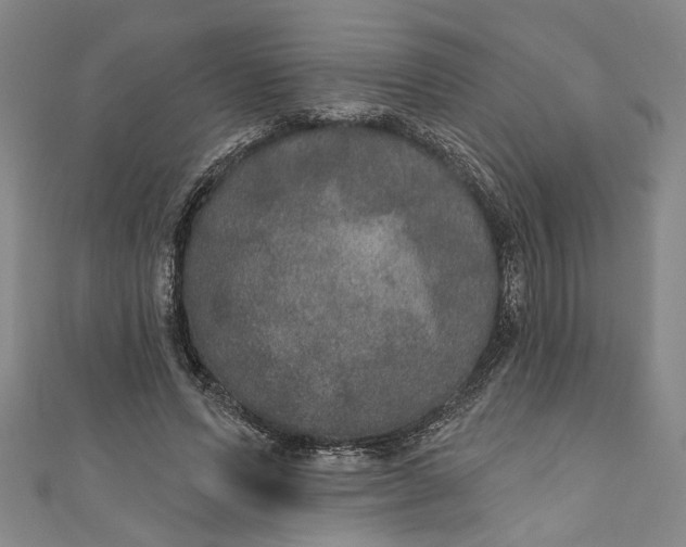 X0000111170591200907221030