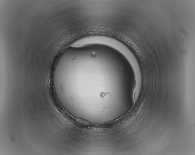 X0000111170593200907221030