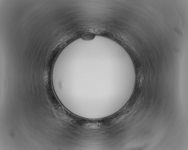 X0000111170595200907221030