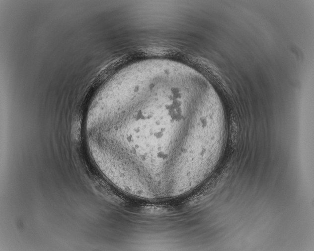 X0000111170596200907221030