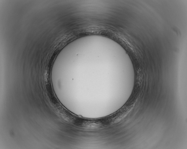 X0000111170597200907221030