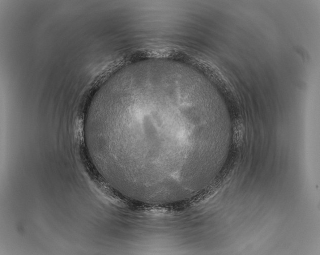 X0000111170598200907221029