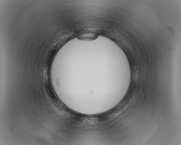 X0000111170599200907221029