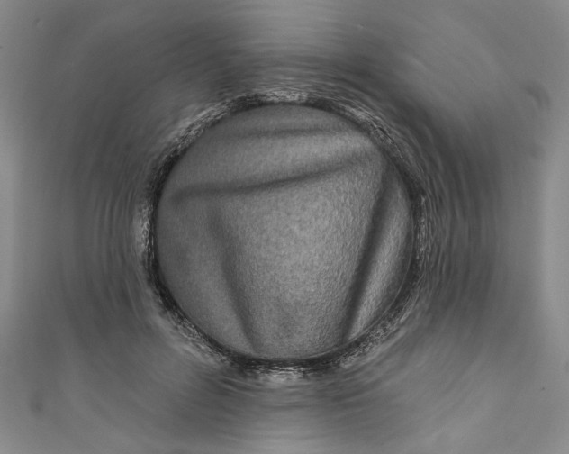 X0000111170600200907221029