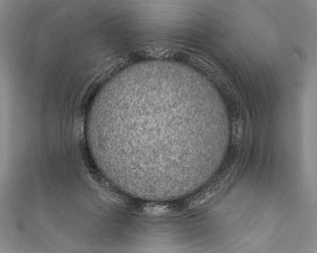 X0000111170602200907221029