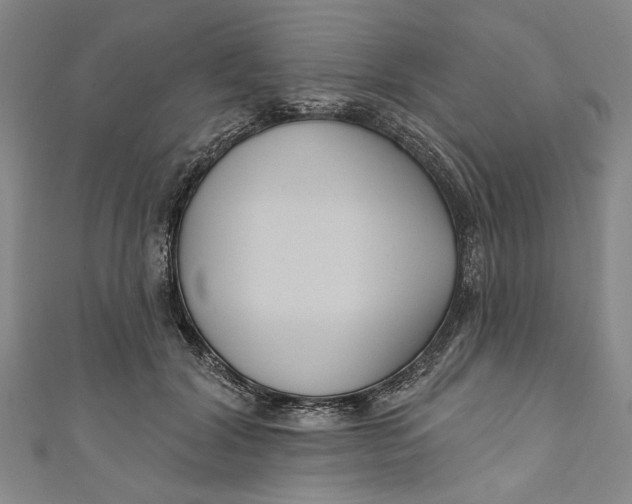 X0000111170604200907221029