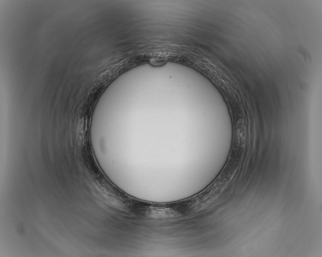 X0000111170605200907221029