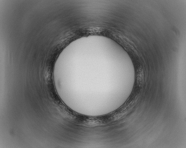 X0000111170608200907221029